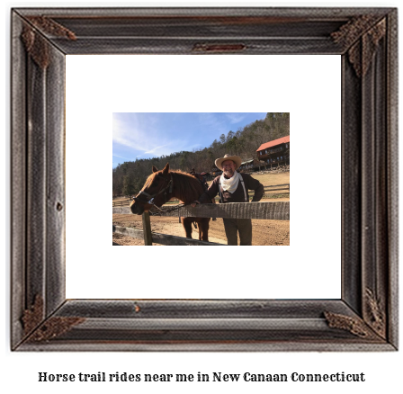 horse trail rides near me in New Canaan, Connecticut